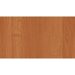 18 PŁYTA OLCHA  OW          9310 OW   280x207