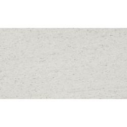 LAMINAT HPL     1202/SA            4100x1320X0,5