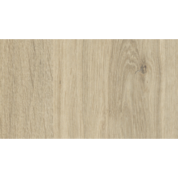 18 PŁYTA DĄB NATURAL         4428 OV  280X207