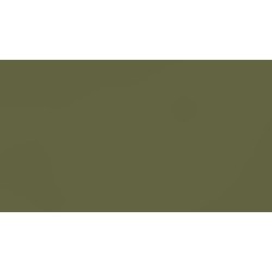 18 PŁYTA OW OLIWKOWY         2508 VL    280x207