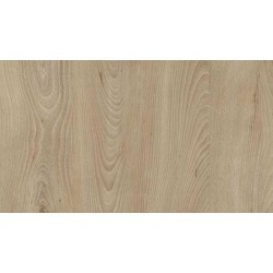 18 PŁYTA OW BUK BORDE      3806 OW  280x207