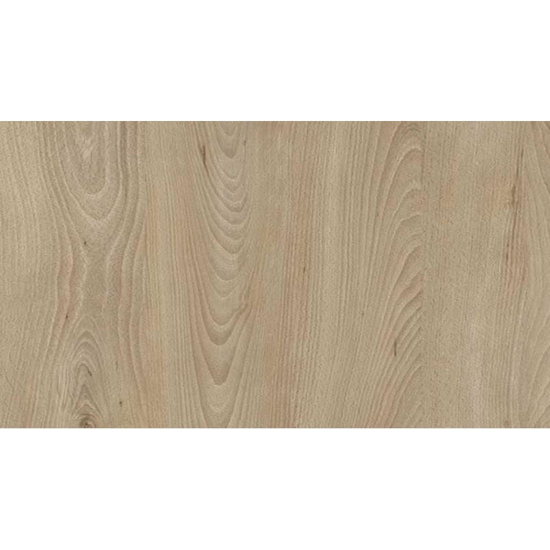 18 PŁYTA OW BUK BORDE      3806 OW  280x207