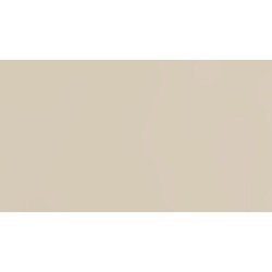 18 PŁYTA LAMINOWANA   BEŻ JASNY          119 PE  280x207