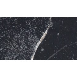 N PŁYTA SPECTRUM MAT  F2264 MARMUR NERO  3050x1220mm gr.18mm