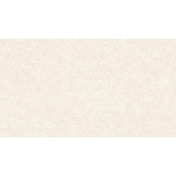 BLAT 38 1L/ 60  N  60834/TO   GRANIT AURORA      4.10