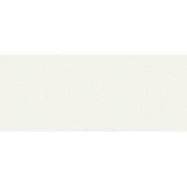 OBRZEŻE 38   101/KM  BIAŁY         1x410