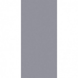 PŁYTA LAMINOWANA  D881 PE metalik