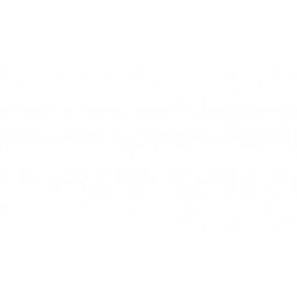 18 PŁYTA LAMINOWANA BIEL ALPEJSKA U8685 SM