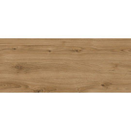 OBRZEŻE 38  1041/OW  DĄB ODWIECZNY    1x410