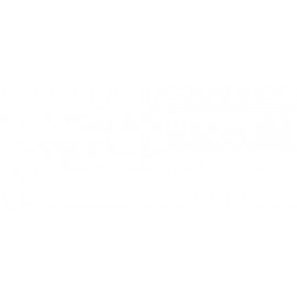 OBRZEŻE 38  8685/SQ  BIEL ALPEJSKA       1x410