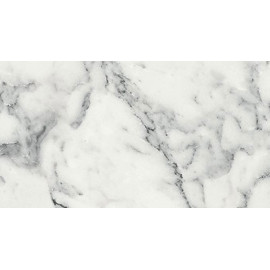 BLAT LAMINAT    4876/SM        4100x1320