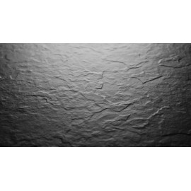 BLAT LAMINAT    1004 LP         4100x1320