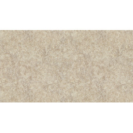 BLAT LAMINAT    1003/PE        4100X1320