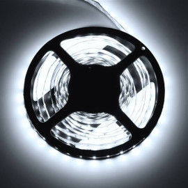 LED PASEK PREMIUM 300/5630 IP20 szer. 10mm B.ZIMNY           5m     80W