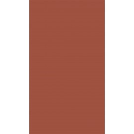 18 PŁYTA CEGLANA CZERWIEŃ    10020 VL  280X207