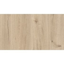 18 PŁYTA DĄB LETNI             20230 OV  280X207