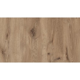 18 PŁYTA DĄB LATTE             1094 OV    280X207