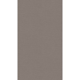 18 PŁYTA PŁÓTNO OXFORD    4096 TO  280X207