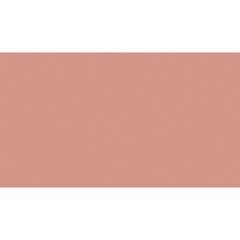 18 PŁYTA PUDROWY RÓŻ       4446 VL   280X207