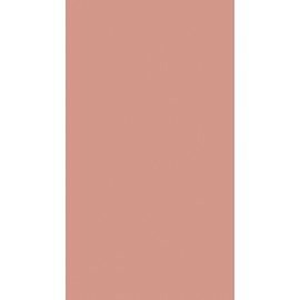 18 PŁYTA PUDROWY RÓŻ       4446 VL   280X207