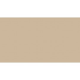 18 PŁYTA SEZAMOWY           10010 VL   280X207