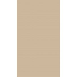 18 PŁYTA SEZAMOWY           10010 VL   280X207