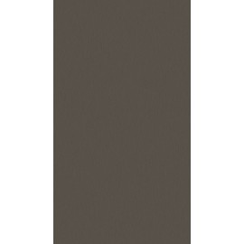 18 PŁYTA TYTAN BRĄZOWOSZARY   4454 VL  280X207