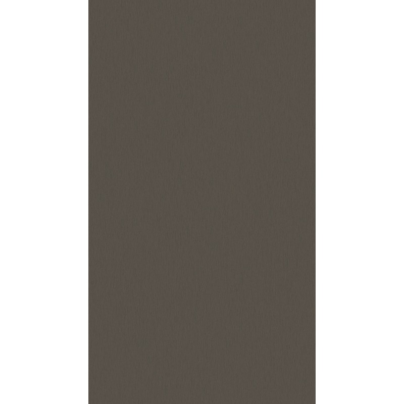 18 PŁYTA TYTAN BRĄZOWOSZARY   4454 VL  280X207