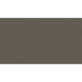 18 PŁYTA TYTAN SREBRNY       4452 VL  280X207