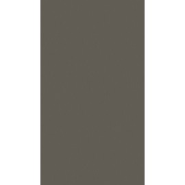 18 PŁYTA TYTAN SREBRNY       4452 VL  280X207