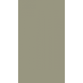 18 PŁYTA TRAWA CYTRYNOWA    6931 VL  280X207