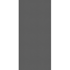 FINSA PŁYTA ANTYPOŚLIZG  ANTRACYT   GR 16   244x122  