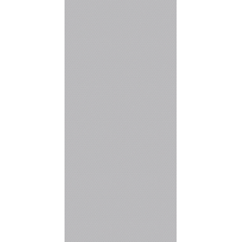 FINSA PŁYTA ANTYPOŚLIZG  POPIEL         GR 16   244x122  