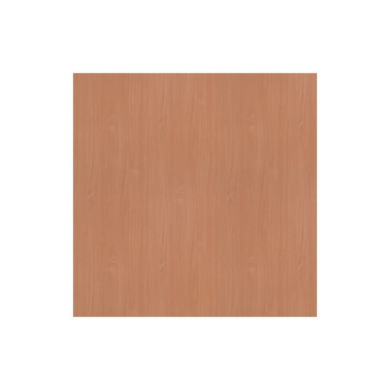 18 PŁYTA BUK JASNY               381 SE   280x207