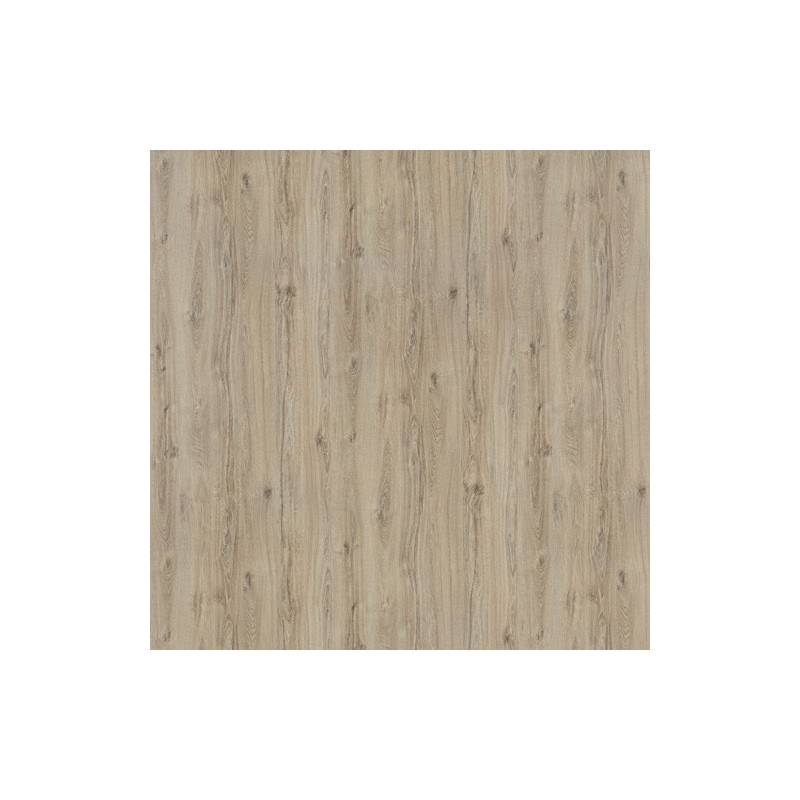 18 PŁYTA DĄB NABUCCO        3313 SD  280x207