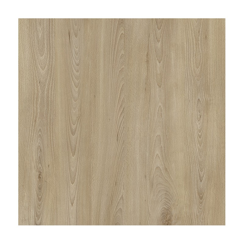 18 PŁYTA OW BUK BORDE      3806 OW  280x207