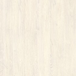 18 PŁYTA OW DĄB RZYM        3800 CL   280x207