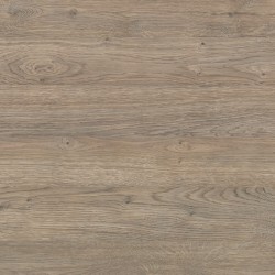 18 PŁYTA OW DĄB PARYŻ       3799 CL   280x207