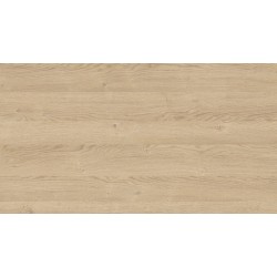 18 PŁYTA OW DĄB BISZKOPT  4032 OW  280x207