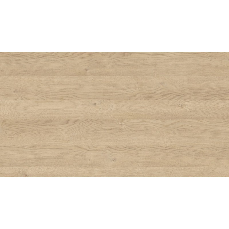 18 PŁYTA OW DĄB BISZKOPT  4032 OW  280x207