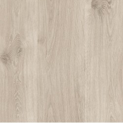 18 PŁYTA DĄB BEŻOWY         4430 OV  280X207