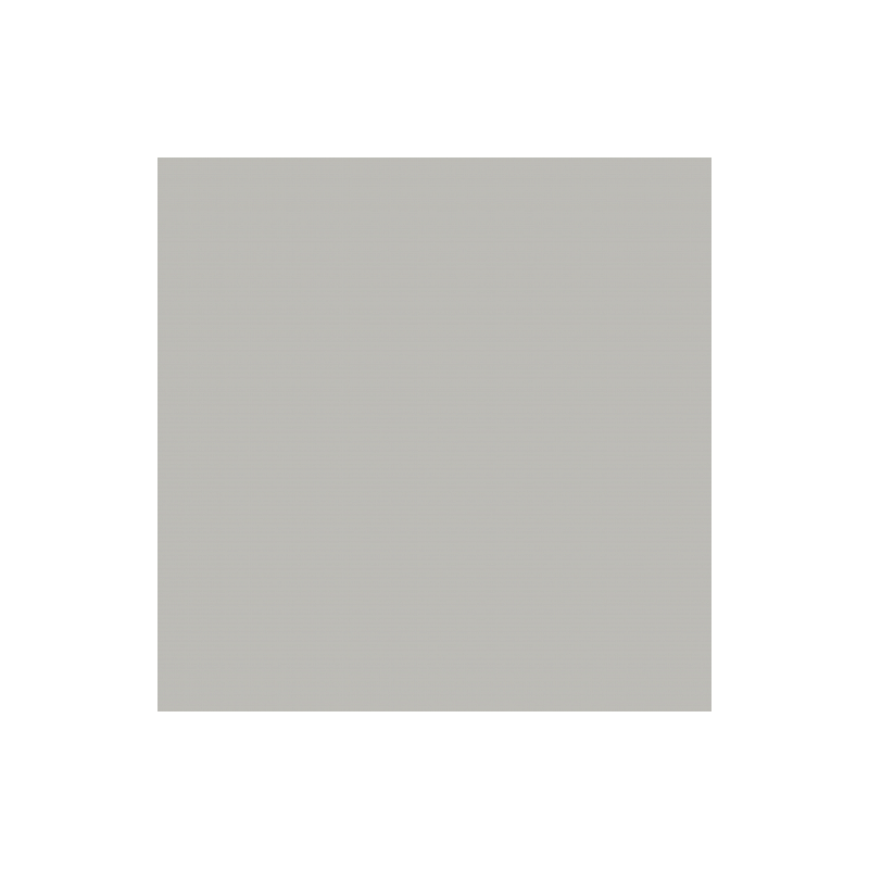N PŁYTA ACRYLUX POŁYSK 85384 POPIEL 2800x1300mm gr.10mm N PŁYTA ACRYLUX POŁYSK 85384 POPIEL 2800x1300mm gr.10mm